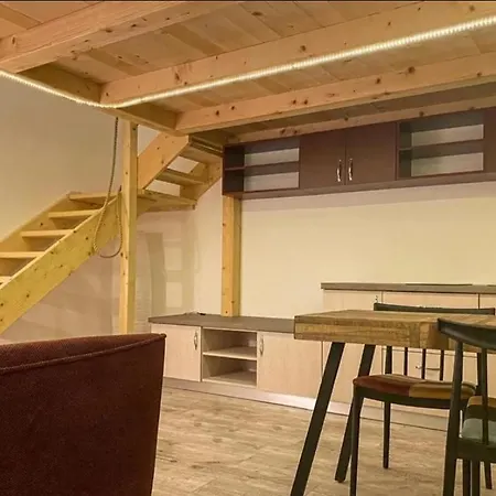 Central Apartment Cluj-Napoca 克卢日-纳波卡