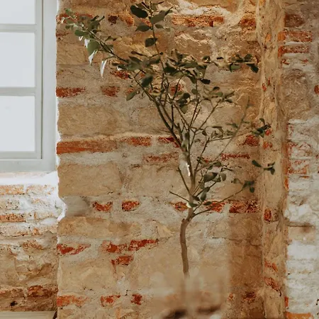 1820 Central Apartment *
