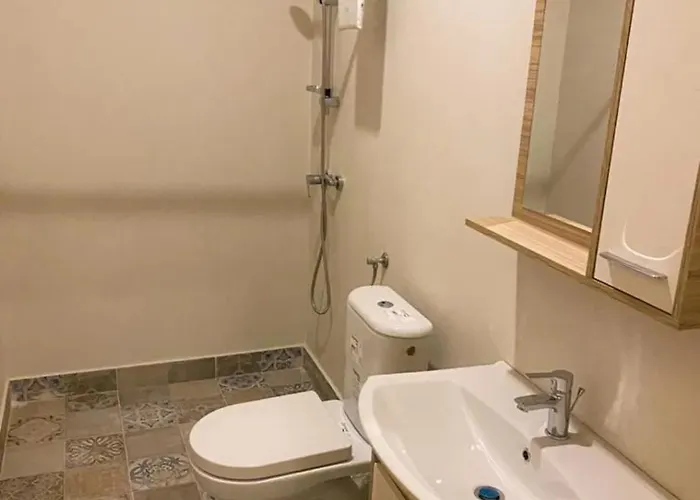 Central Apartment Cluj-Napoca * Cluj-Napoca